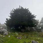 Basiver - Basiver Inn *