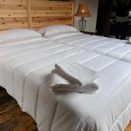 Basiver - Basiver * Tama