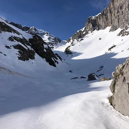 Basiver - Basiver * Tama