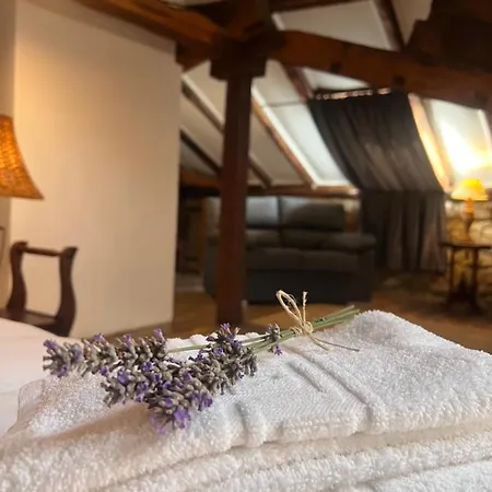 Basiver - Basiver * Tama