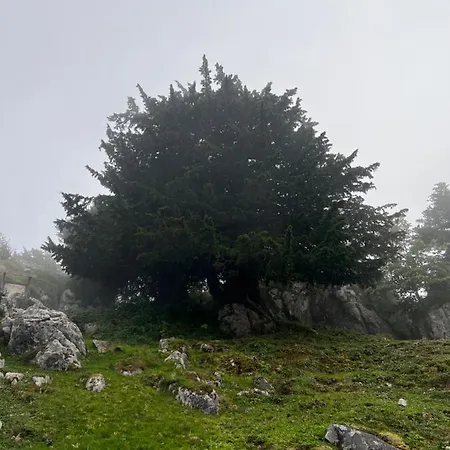 Basiver - Basiver Πανδοχείο *