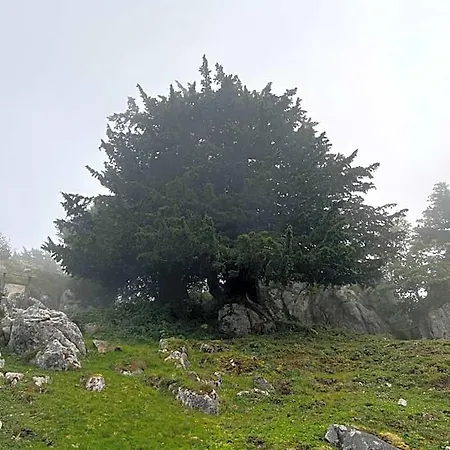 Casa Rural Basiver - Basiver